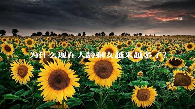 为什么现在大龄剩女越来越多了？