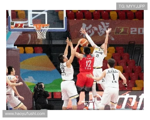 上海排球队的转型之路与未来发展展望解析 上海排球队的转型之路与未来发展展望解析