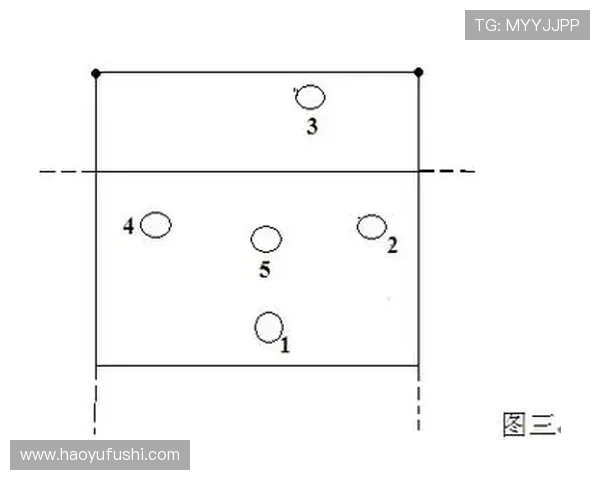 北京排球队在邀请赛中的战术表现分析与点评探讨 北京排球队在邀请赛中的战术表现分析与点评探讨