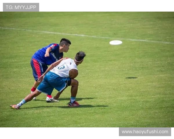 深圳飞盘队团队协作引发热议争议背后的合作与竞争关系探讨