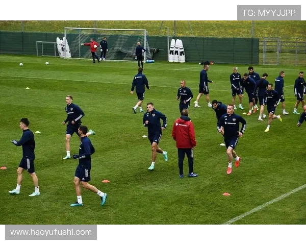 俄罗斯与北爱尔兰足球对决分析及赛前预测展望 俄罗斯与北爱尔兰足球对决分析及赛前预测展望