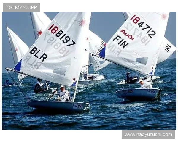 爱尔兰与芬兰激战正酣比赛结果揭晓引发热议