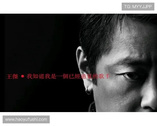 王岚的音乐之旅：从青涩歌手到华语乐坛的璀璨明星