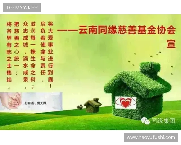 飞盘与梦想交织的旅程：赵强的深度对话与人生启示