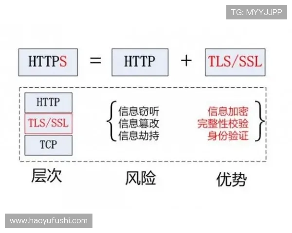 独家解析IG速度对比及其对用户体验的影响与启示